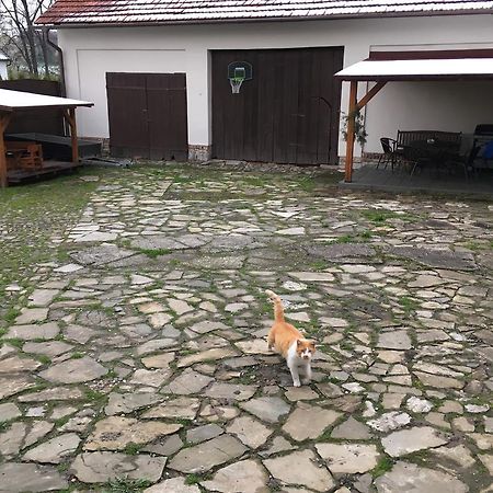 Ubytovani V Soukromi U Volneho Příbor المظهر الخارجي الصورة